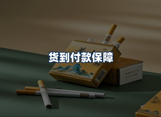 专业团队办公环境